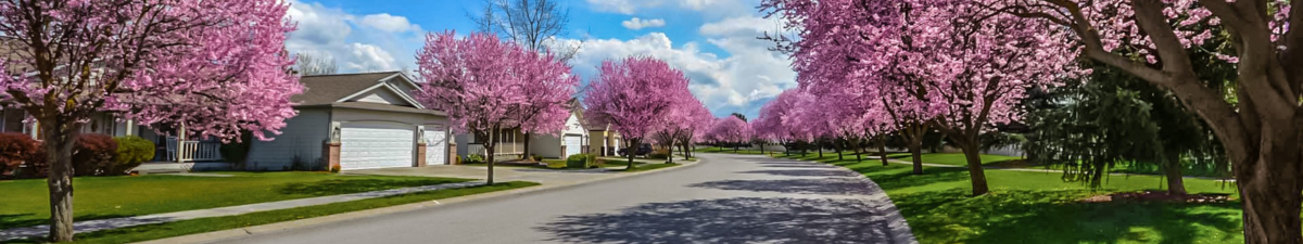 Spring Homebuying and Selling Article Header